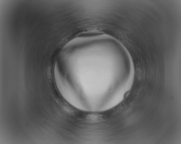 X0000073830375200609071521