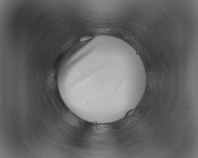 X0000073830378200609071521