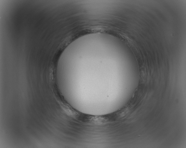 X0000073830379200609071521