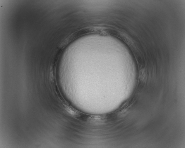 X0000073830381200609071521