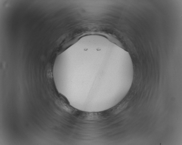 X0000073830384200609071521