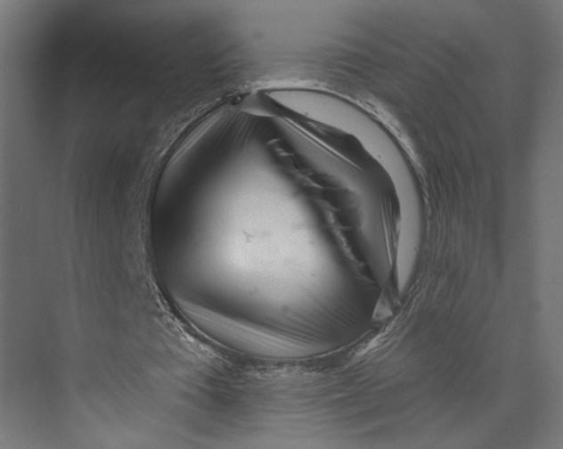 X0000073830385200609071520