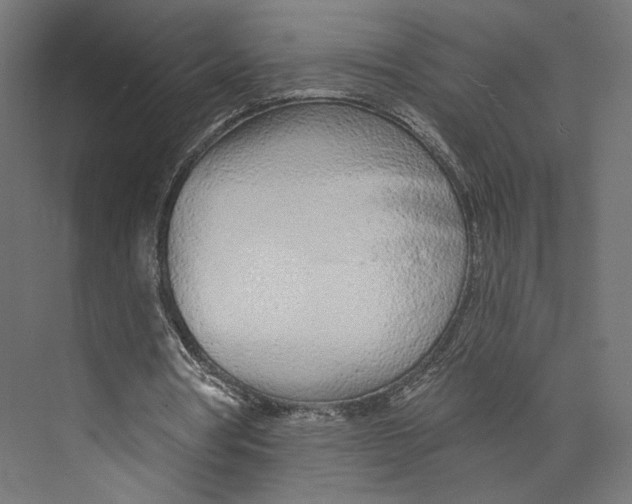 X0000073830386200609071520