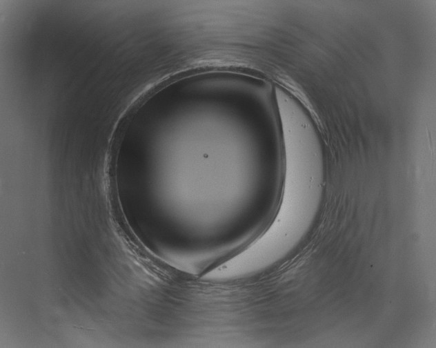 X0000073830387200609071520