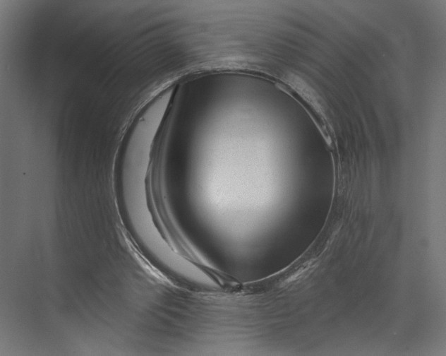 X0000073830389200609071520