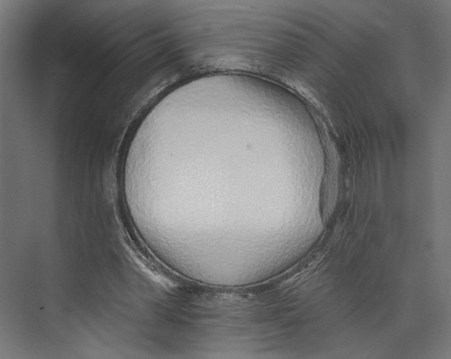 X0000073830390200609071520