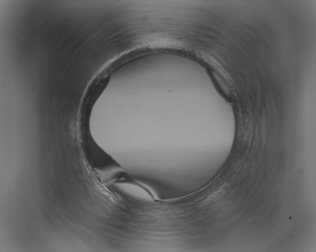 X0000073830391200609071520