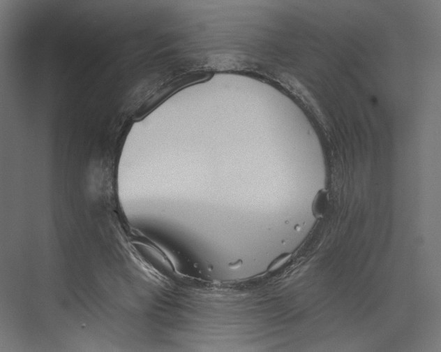 X0000073830393200609071520