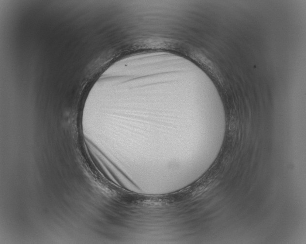 X0000073830394200609071520