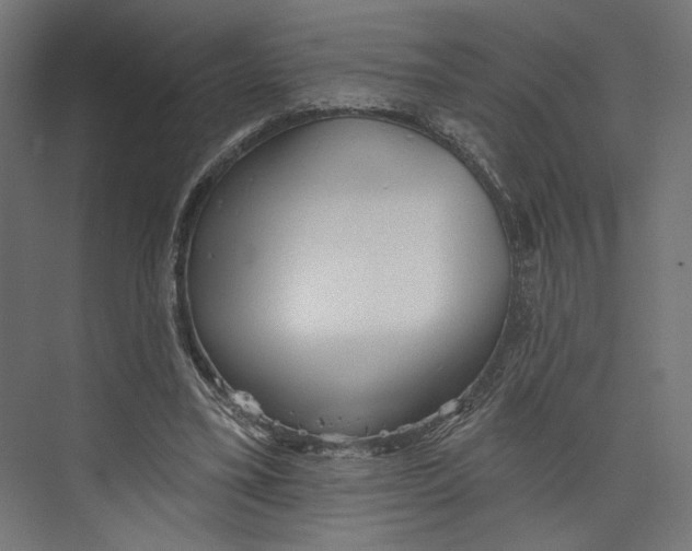 X0000073830395200609071520