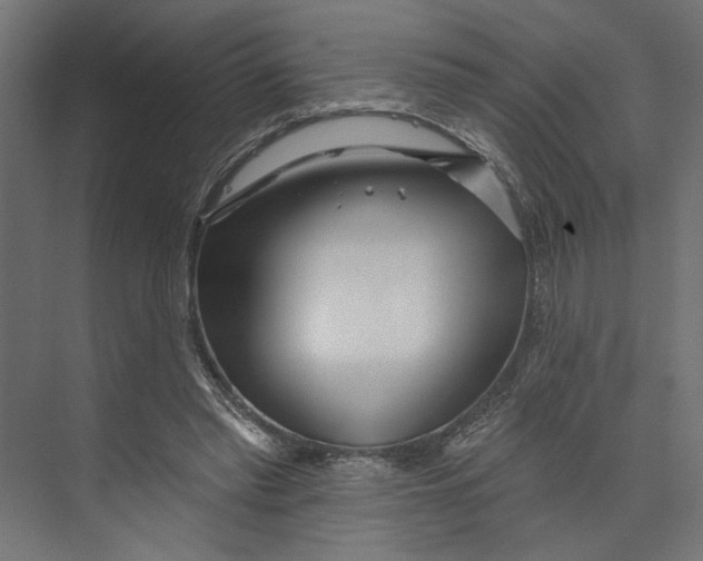 X0000073830397200609071520