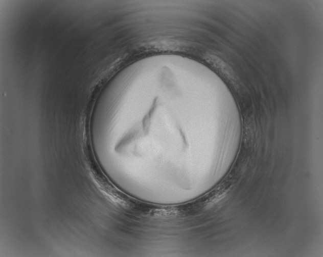 X0000073830398200609071520