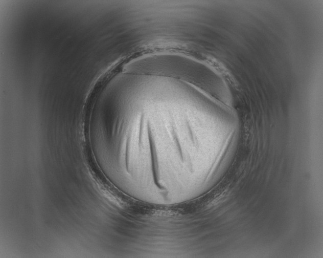 X0000073830399200609071520