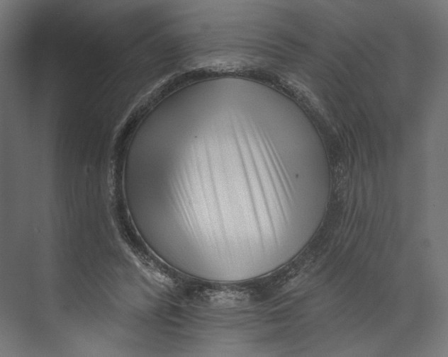 X0000073830400200609071520