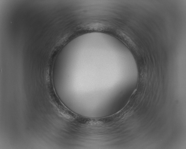 X0000073830403200609071520