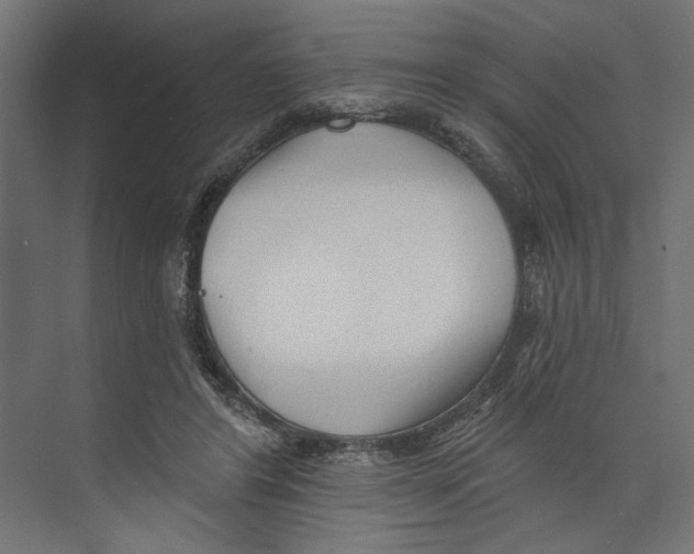 X0000073830404200609071520