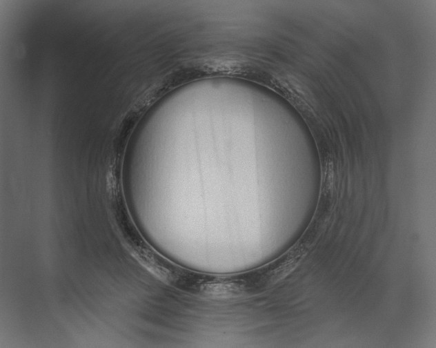 X0000073830408200609071520