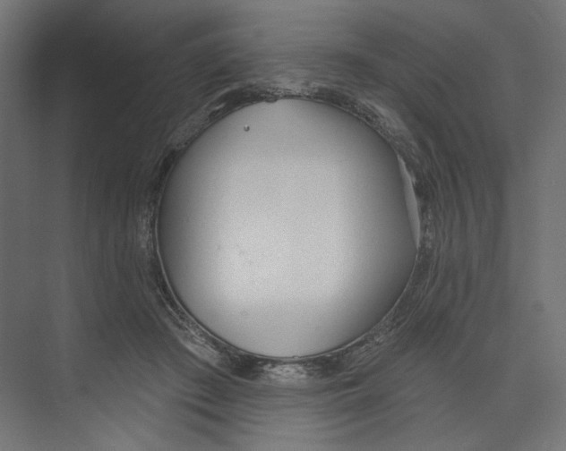 X0000073830409200609071520