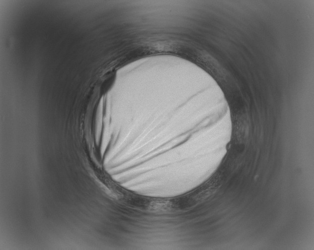 X0000073830410200609071520