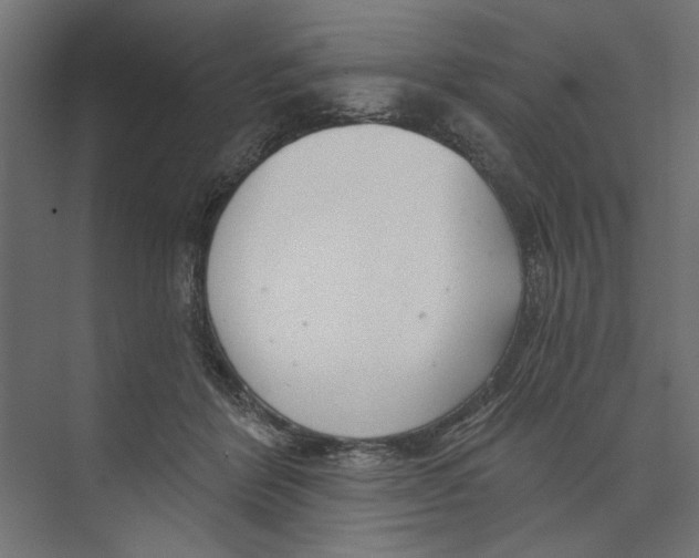 X0000073830412200609071520