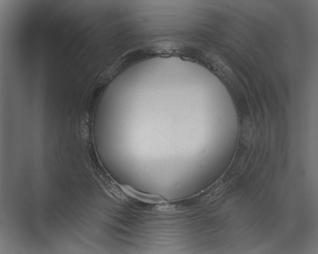 X0000073830413200609071520