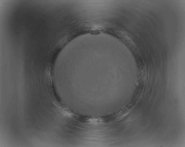 X0000073830415200609071520