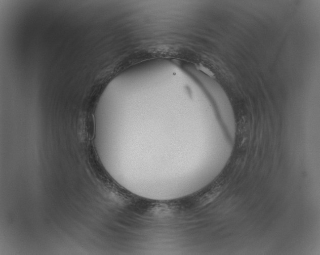 X0000073830416200609071520