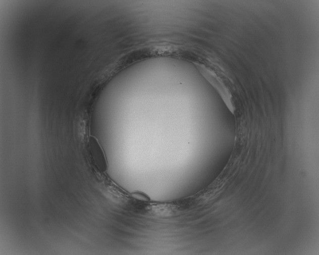 X0000073830417200609071520