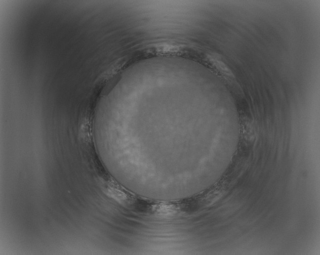 X0000073830419200609071520