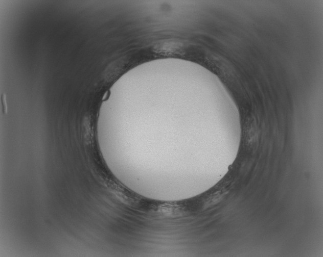 X0000073830420200609071520