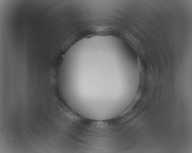 X0000073830421200609071520