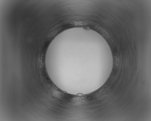 X0000073830422200609071520