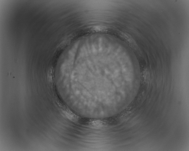 X0000073830423200609071520