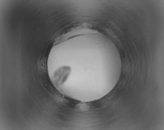 X0000073830425200609071520