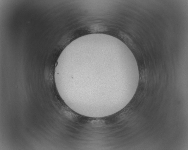 X0000073830426200609071520