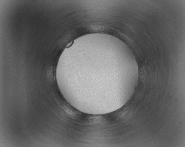 X0000073830428200609071520