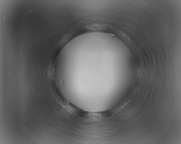 X0000073830429200609071520