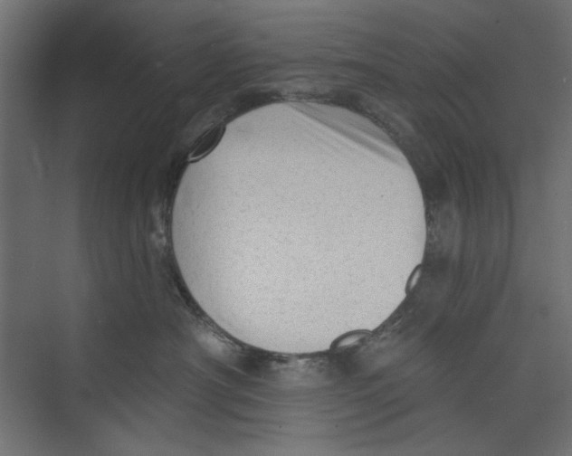 X0000073830430200609071520