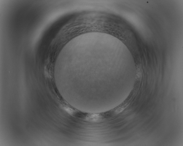 X0000073830431200609071520