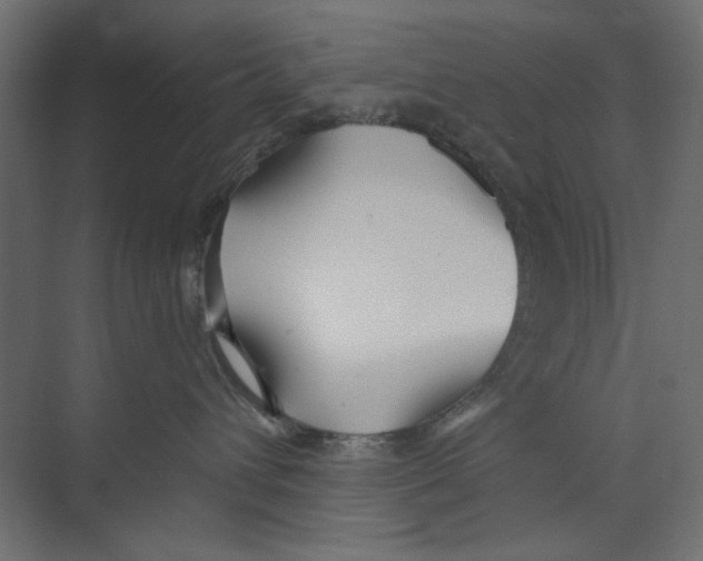 X0000073830432200609071520