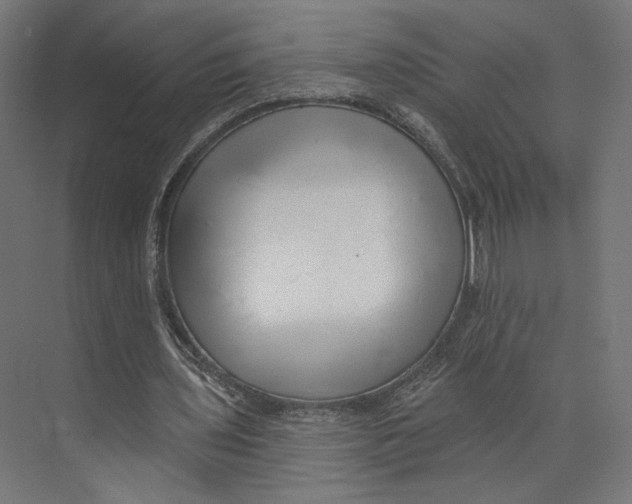 X0000073830435200609071519