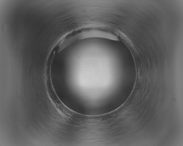 X0000073830436200609071519