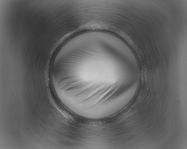 X0000073830438200609071519