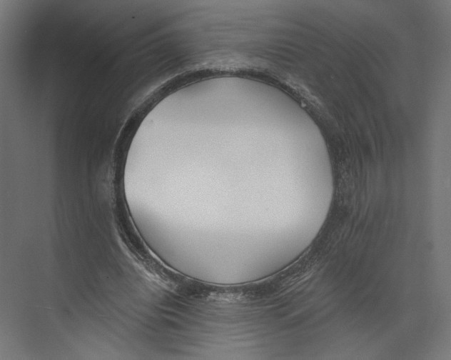 X0000073830440200609071519