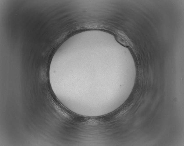 X0000073830441200609071519