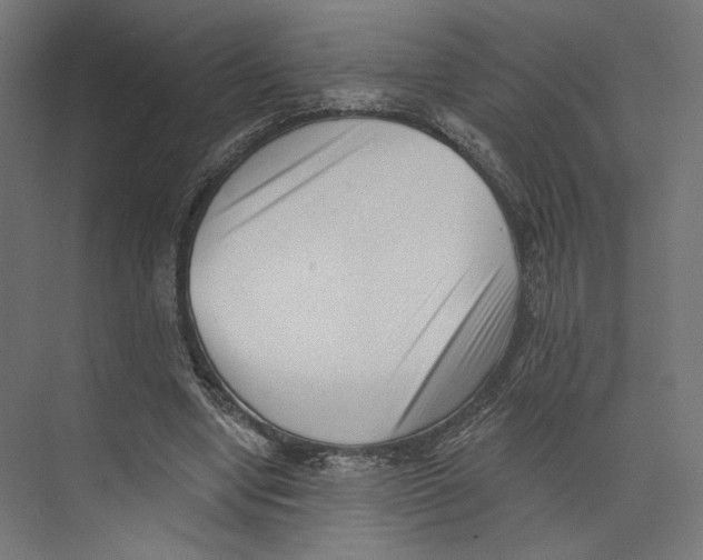 X0000073830442200609071519