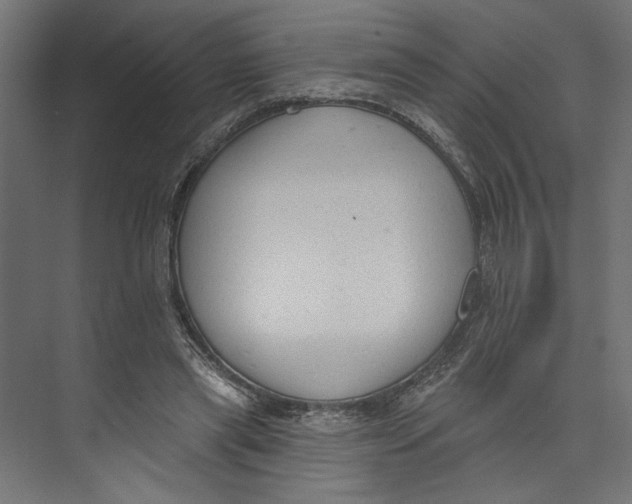 X0000073830445200609071519