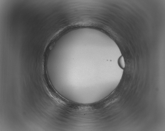 X0000073830446200609071519