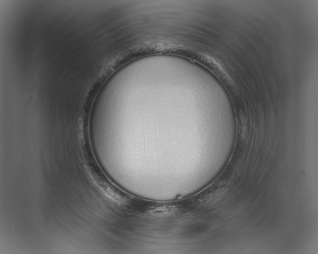 X0000073830447200609071519