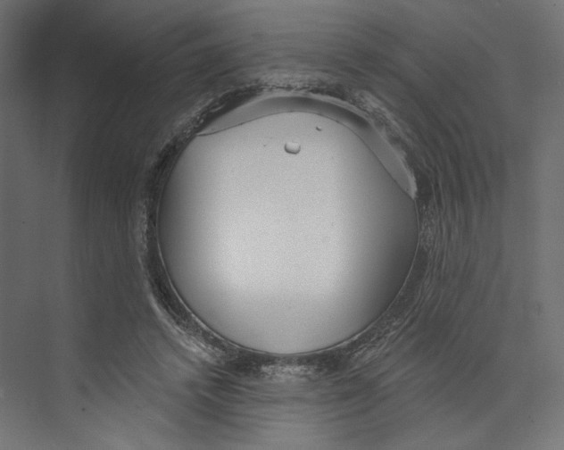 X0000073830448200609071519